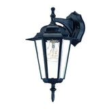 Matte Black Glass Hanging Lantern Wall Light - Homeroots