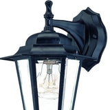 Matte Black Glass Hanging Lantern Wall Light - Homeroots