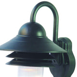 Matte Black Motion Sensor Outdoor Wall Light - Homeroots