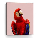 Vibrant And Vivid Bird Unframed Print Wall Art - Homeroots