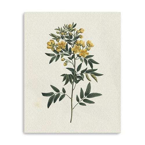 Singular Yellow Blossom Branch Unframed Print Wall Art - Homeroots - Flyclothing LLC