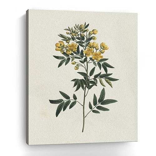 Singular Yellow Blossom Branch Unframed Print Wall Art - Homeroots - Flyclothing LLC