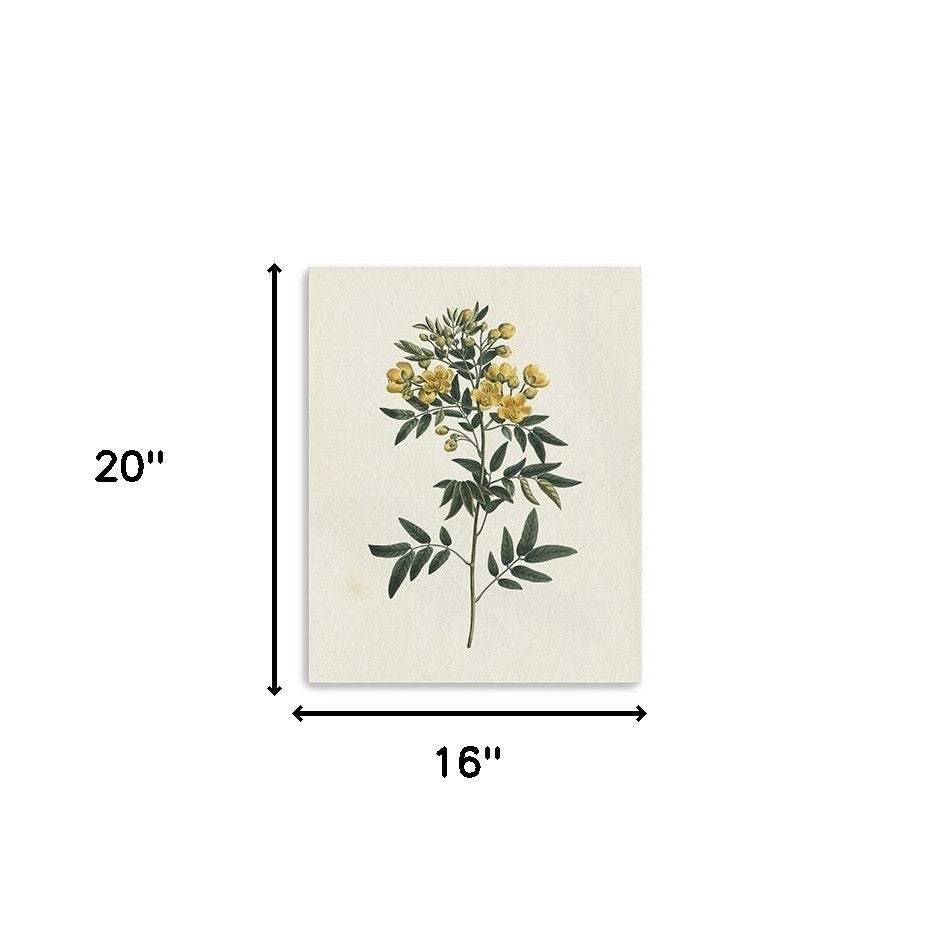Singular Yellow Blossom Branch Unframed Print Wall Art - Homeroots - Flyclothing LLC