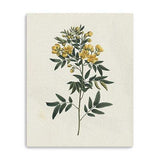 Singular Yellow Blossom Branch Unframed Print Wall Art - Homeroots - Flyclothing LLC
