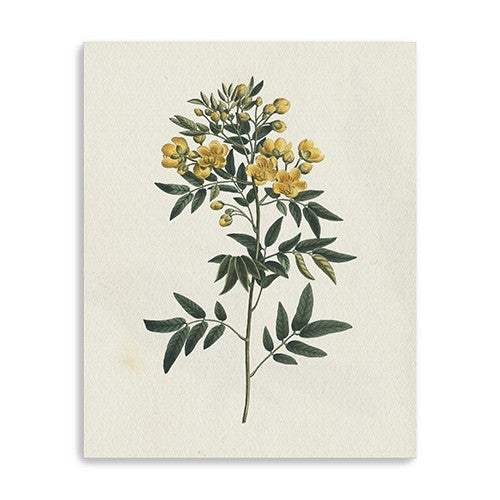 Singular Yellow Blossom Branch Unframed Print Wall Art - Homeroots - Flyclothing LLC
