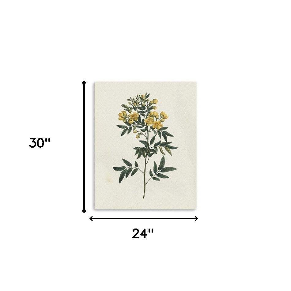 Singular Yellow Blossom Branch Unframed Print Wall Art - Homeroots - Flyclothing LLC