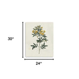 Singular Yellow Blossom Branch Unframed Print Wall Art - Homeroots - Flyclothing LLC