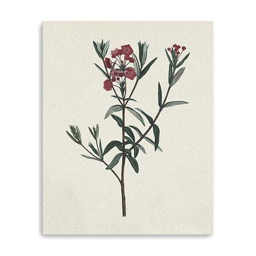 Singular Red Blossom Branch Unframed Print Wall Art - Homeroots - Flyclothing LLC