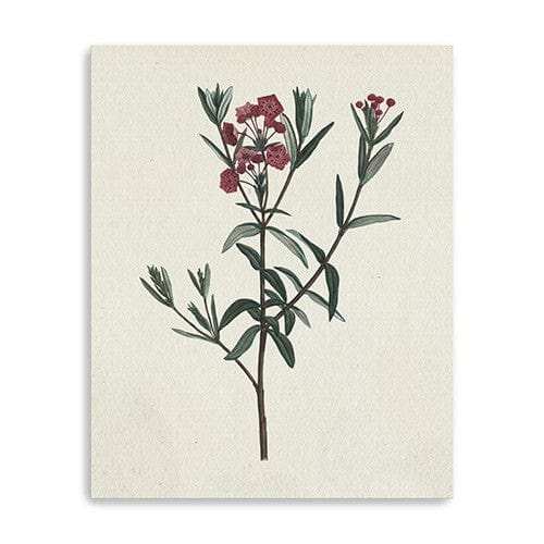 Singular Red Blossom Branch Unframed Print Wall Art - Homeroots - Flyclothing LLC