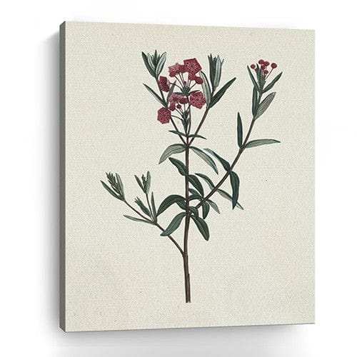 Singular Red Blossom Branch Unframed Print Wall Art - Homeroots - Flyclothing LLC