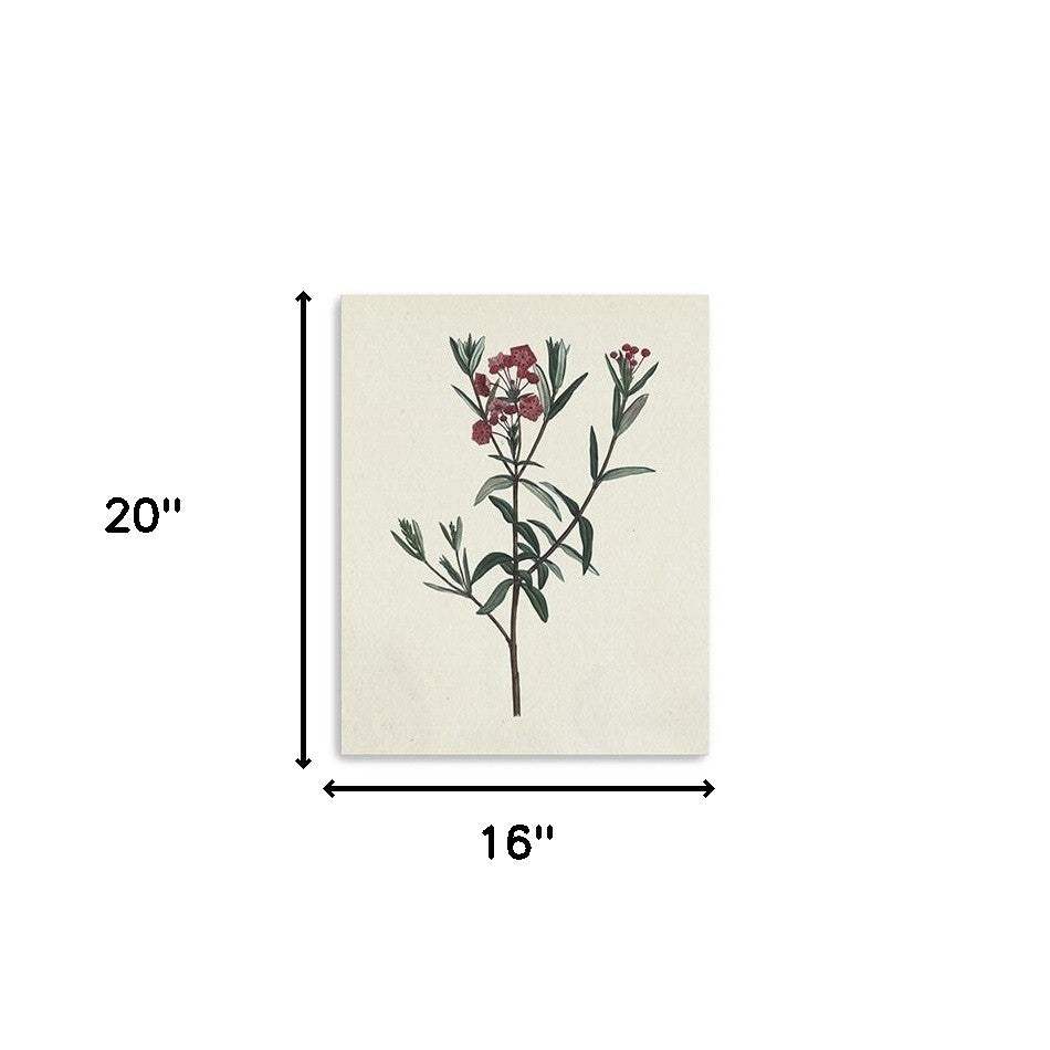 Singular Red Blossom Branch Unframed Print Wall Art - Homeroots - Flyclothing LLC