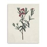 Singular Red Blossom Branch Unframed Print Wall Art - Homeroots - Flyclothing LLC