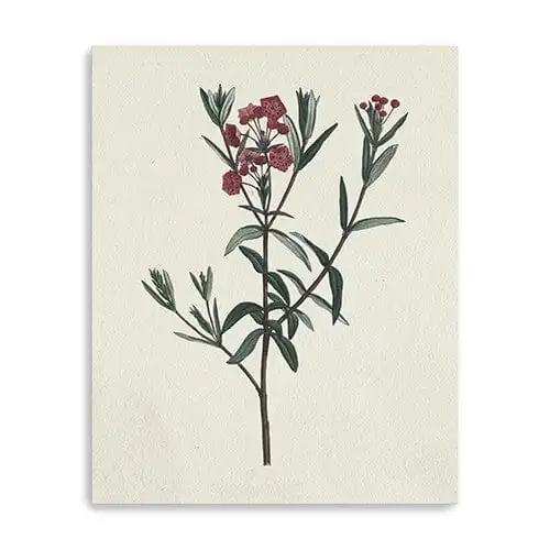Singular Red Blossom Branch Unframed Print Wall Art - Homeroots - Flyclothing LLC