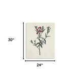 Singular Red Blossom Branch Unframed Print Wall Art - Homeroots - Flyclothing LLC