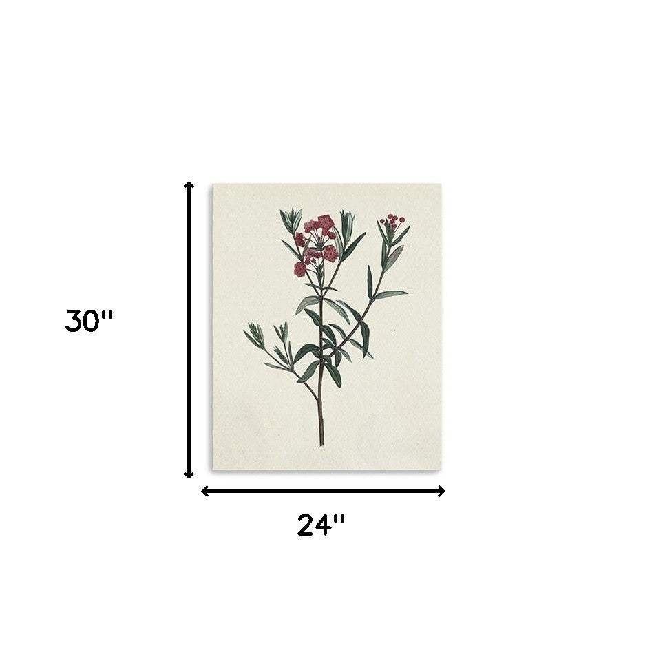 Singular Red Blossom Branch Unframed Print Wall Art - Homeroots - Flyclothing LLC