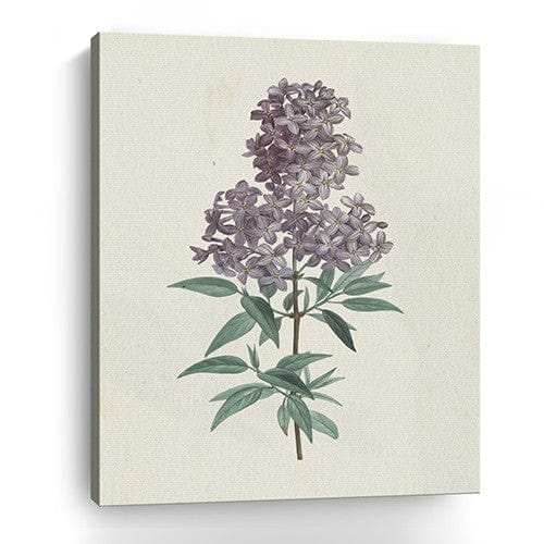 Singular Purple Blossom Branch Unframed Print Wall Art - Homeroots - Flyclothing LLC