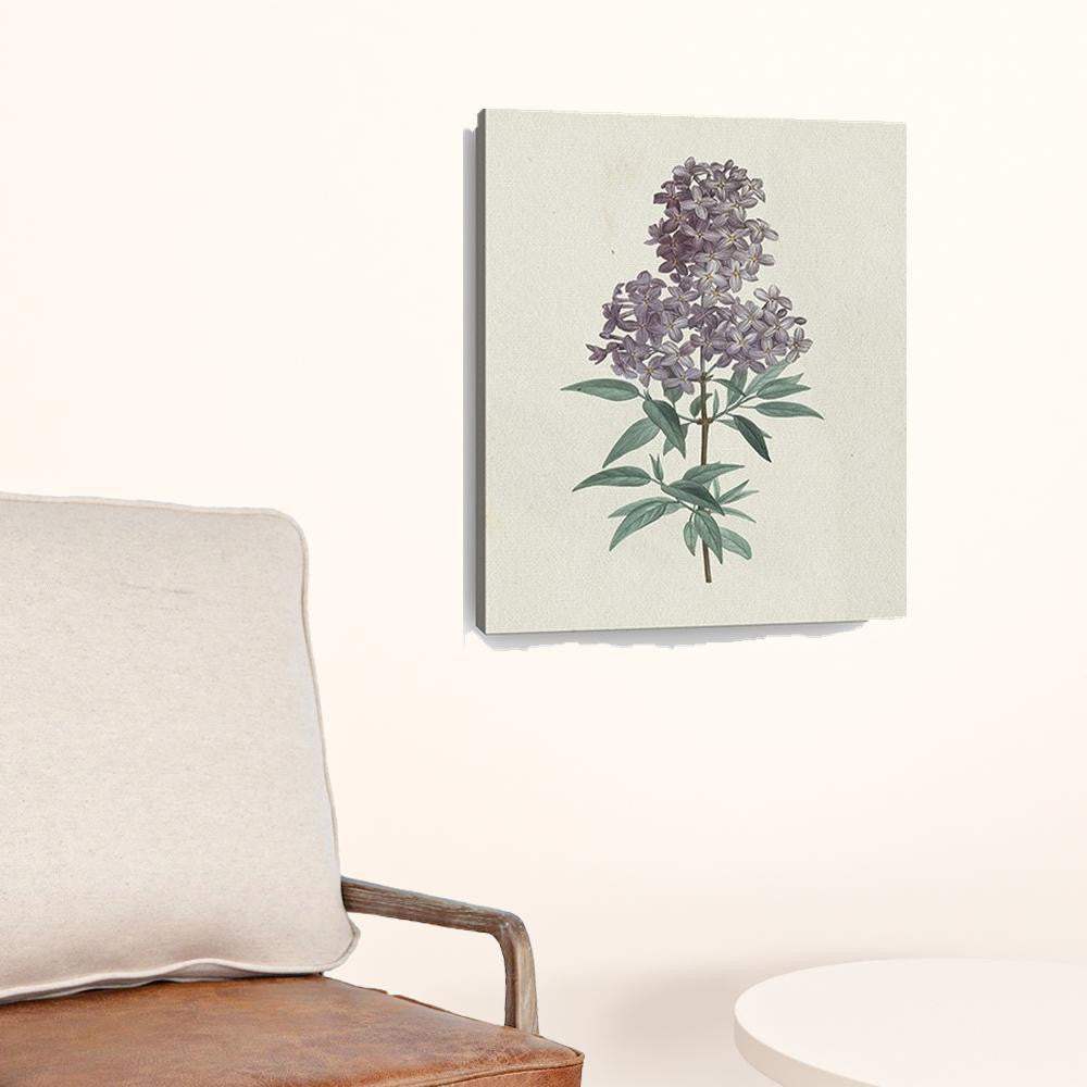 Singular Purple Blossom Branch Unframed Print Wall Art - Homeroots - Flyclothing LLC