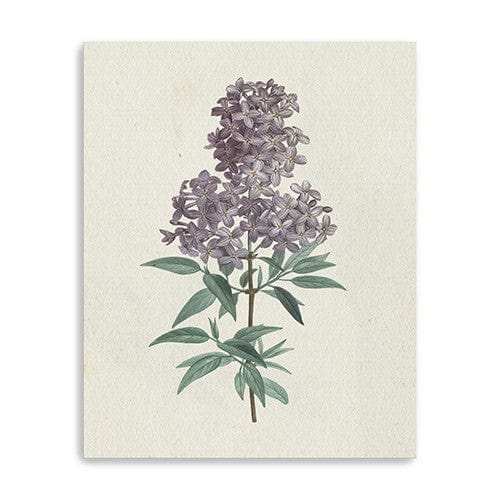 Singular Purple Blossom Branch Unframed Print Wall Art - Homeroots - Flyclothing LLC