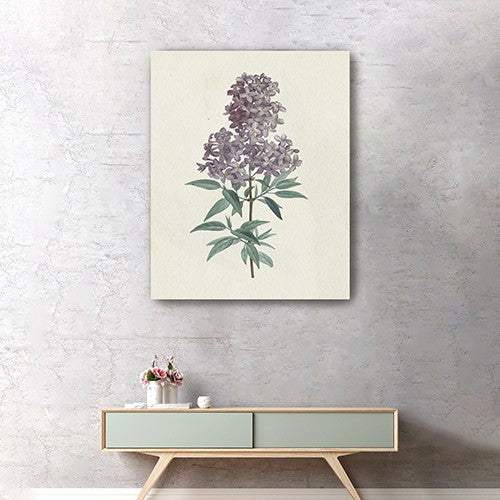 Singular Purple Blossom Branch Unframed Print Wall Art - Homeroots - Flyclothing LLC