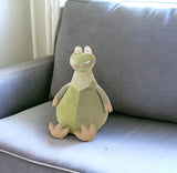26" X 22" Green Novelty Throw Pillow - Homeroots