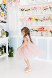 Dusty Pink Shimmer Tutu Dress - Mila & Rose ®