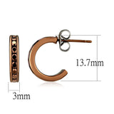 3W1140 - IP Coffee light Brass Earrings with Top Grade Crystal  in Light Coffee - Alamode