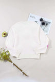 Crochet Flower Round Neck Long Sleeve Sweater - Trendsi - Flyclothing LLC