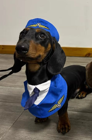 Dachshund Dog Funny Clothes Halloween Suit - My Store - Flyclothing LLC