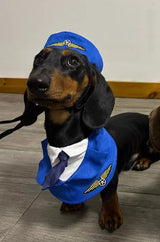Dachshund Dog Funny Clothes Halloween Suit - My Store - Flyclothing LLC