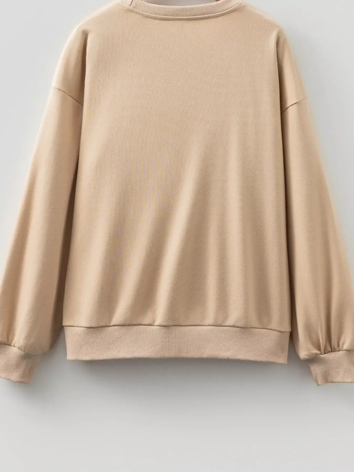 Embroidered Flower Pattern Drop Shoulder Sweatshirt - Trendsi - Flyclothing LLC