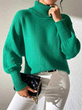 Turtleneck Long Sleeve Sweater - Trendsi - Flyclothing LLC