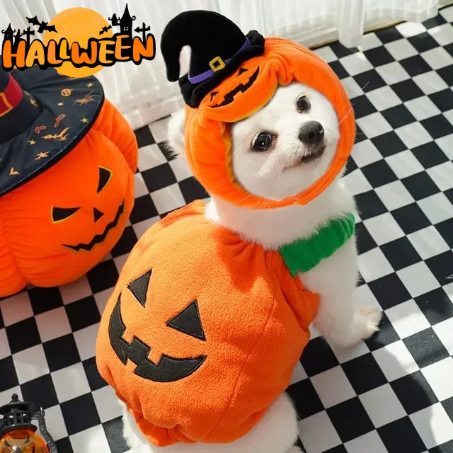 Halloween Pumpkin Vest For Dogs Cats Festive Pet Costume Harness Funny Thanksgiving Christmas Apparel For Small Animals Clothing - My Store - Flyclothing LLC