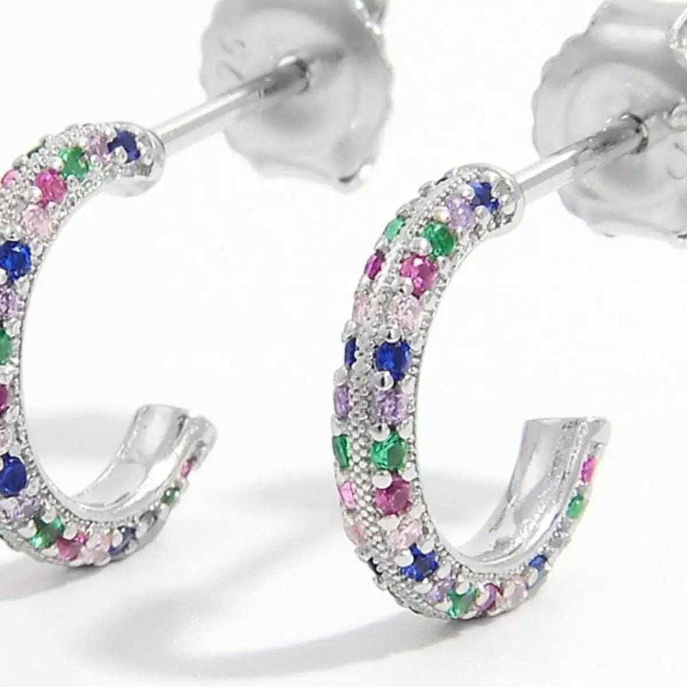 925 Sterling Silver Contrast Zircon Earrings - Trendsi - Flyclothing LLC