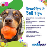 Crazy Bounce Rubber Dog Chew Toy for Power Chewers | Retrieving Ball | USA Made - SodaPup/True Dogs, LLC - Flyclothing LLC