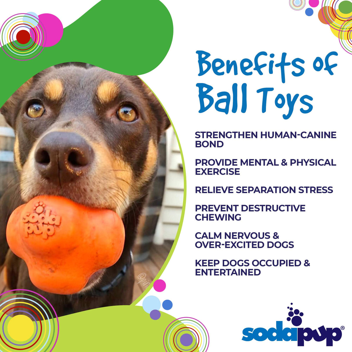 Crazy Bounce Rubber Dog Chew Toy for Power Chewers | Retrieving Ball | USA Made - SodaPup/True Dogs, LLC - Flyclothing LLC