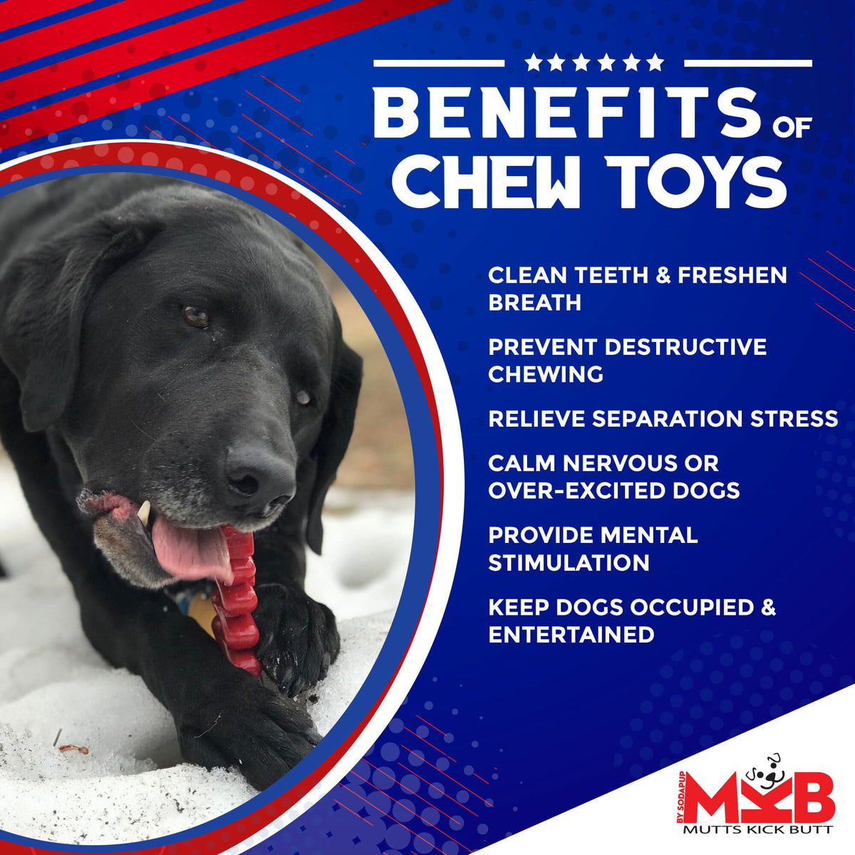 Christmas Tree Nylon Dog Chew Toy for Aggressive Chewers | USA Made & FDA Compliant - SodaPup/True Dogs, LLC - Flyclothing LLC
