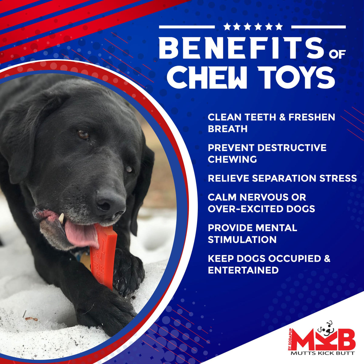 Headstone Ultra Durable Nylon Dog Chew Toy - SodaPup/True Dogs, LLC - Flyclothing LLC