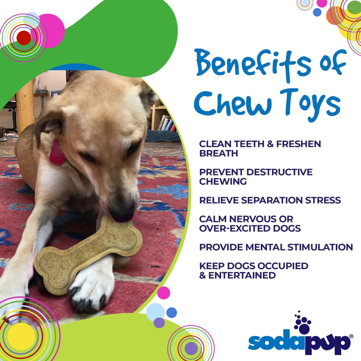 Bone eChew Ultra Durable Nylon Dog Chew Toy for Aggressive Chewers | USA Made - SodaPup/True Dogs, LLC - Flyclothing LLC