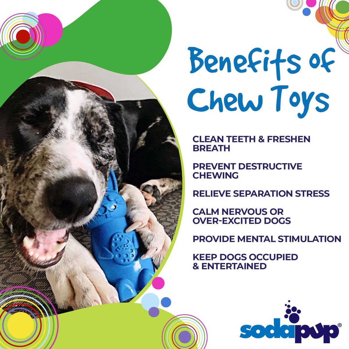 Bunny Nylon Chew Toy for Aggressive Chewers | Durable & USA Made - SodaPup/True Dogs, LLC - Flyclothing LLC