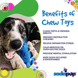 Bunny Nylon Chew Toy for Aggressive Chewers | Durable & USA Made - SodaPup/True Dogs, LLC - Flyclothing LLC
