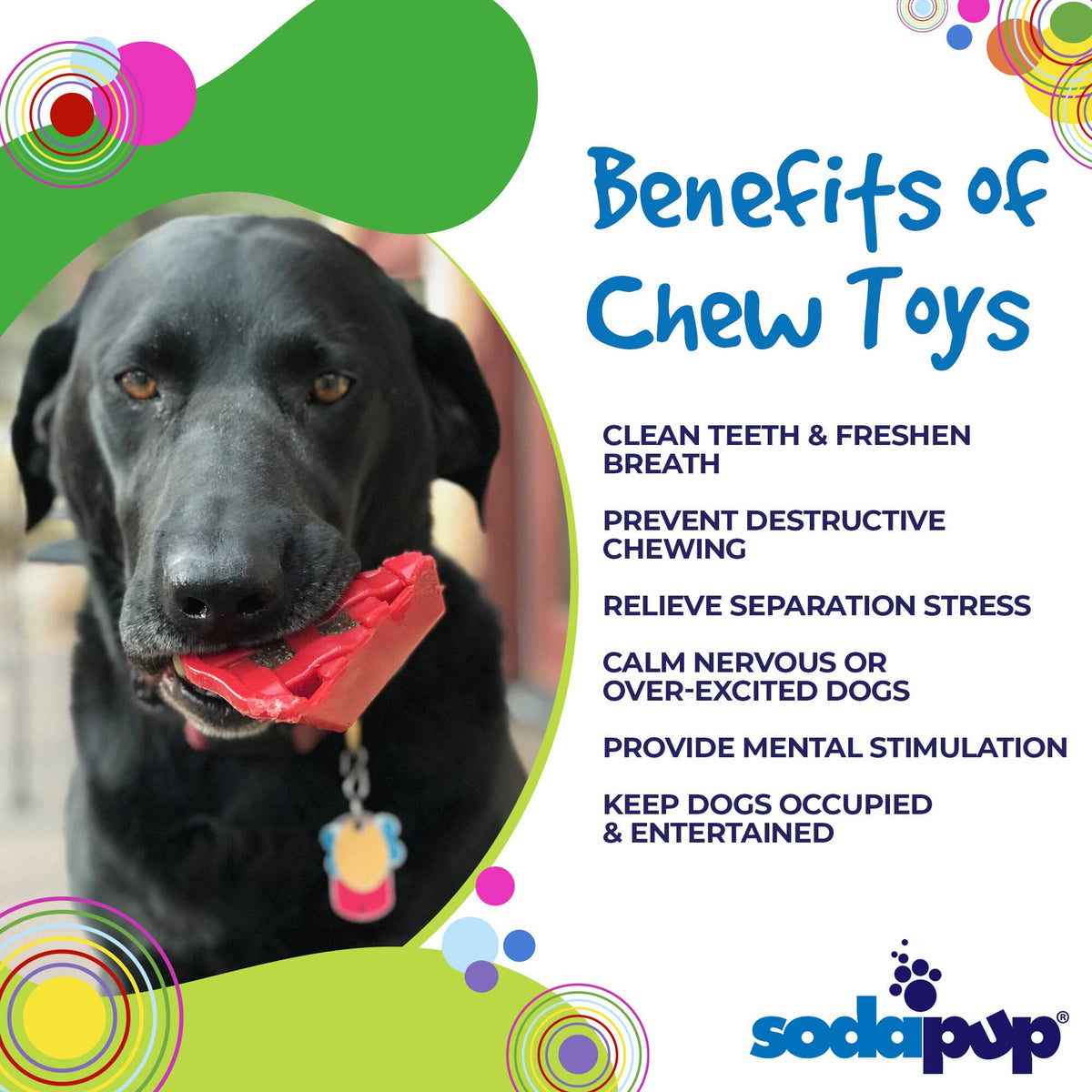 Cherry Pie Nylon Dog Chew Toy for Aggressive Chewers | USA Made | SodaPup - SodaPup/True Dogs, LLC - Flyclothing LLC