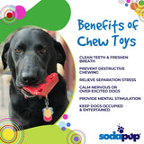 Cherry Pie Nylon Dog Chew Toy for Aggressive Chewers | USA Made | SodaPup - SodaPup/True Dogs, LLC - Flyclothing LLC