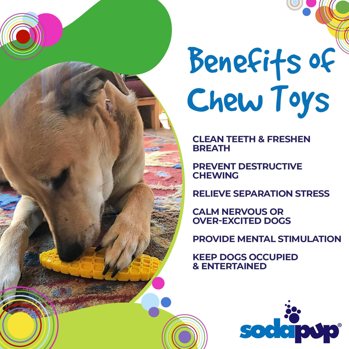 Corn on the Cob Nylon Dog Toy for Aggressive Chewers | USA Made | SodaPup - SodaPup/True Dogs, LLC - Flyclothing LLC