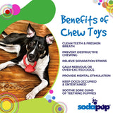 Diamond Ring Nylon Teething Ring for Puppies | Durable & USA Made - SodaPup/True Dogs, LLC - Flyclothing LLC