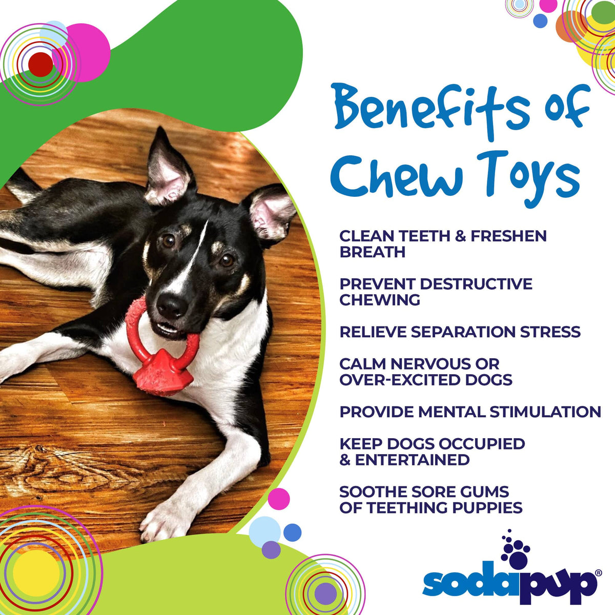 Diamond Ring Nylon Teething Ring for Puppies | Durable & USA Made - SodaPup/True Dogs, LLC - Flyclothing LLC
