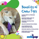 Fish Bone Nylon Dog Toy for Aggressive Chewers | USA Made | SodaPup - SodaPup/True Dogs, LLC - Flyclothing LLC