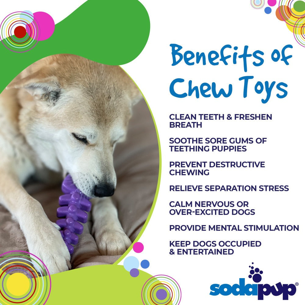 Fish Bone Nylon Dog Toy for Aggressive Chewers | USA Made | SodaPup - SodaPup/True Dogs, LLC - Flyclothing LLC