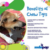 Gingerbread Man Nylon Dog Chew Toy for Aggressive Chewers | USA Made - SodaPup/True Dogs, LLC - Flyclothing LLC