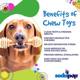 Honey Bone Nylon Dog Toy for Aggressive Chewers | USA Made | SodaPup - SodaPup/True Dogs, LLC - Flyclothing LLC