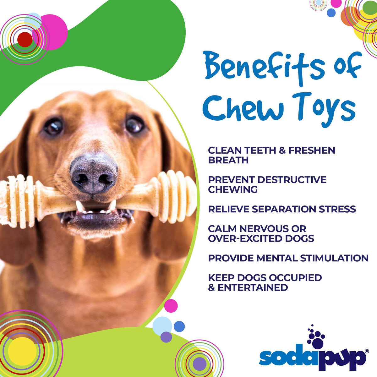 Honey Bone Nylon Dog Toy for Aggressive Chewers | USA Made | SodaPup - SodaPup/True Dogs, LLC - Flyclothing LLC